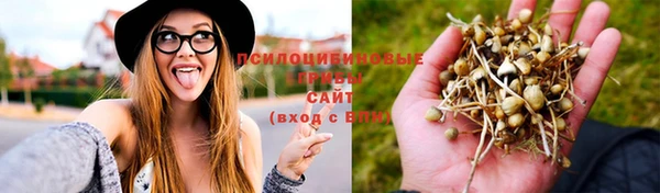наркотики Баксан