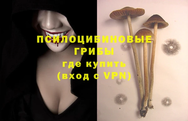 синтетический гашиш Балахна