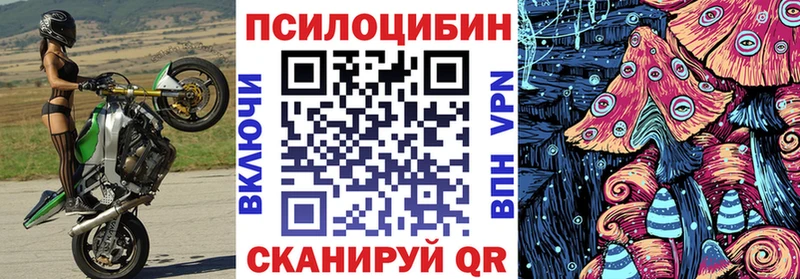 Галлюциногенные грибы Psilocybine cubensis  блэк спрут   Гаджиево 